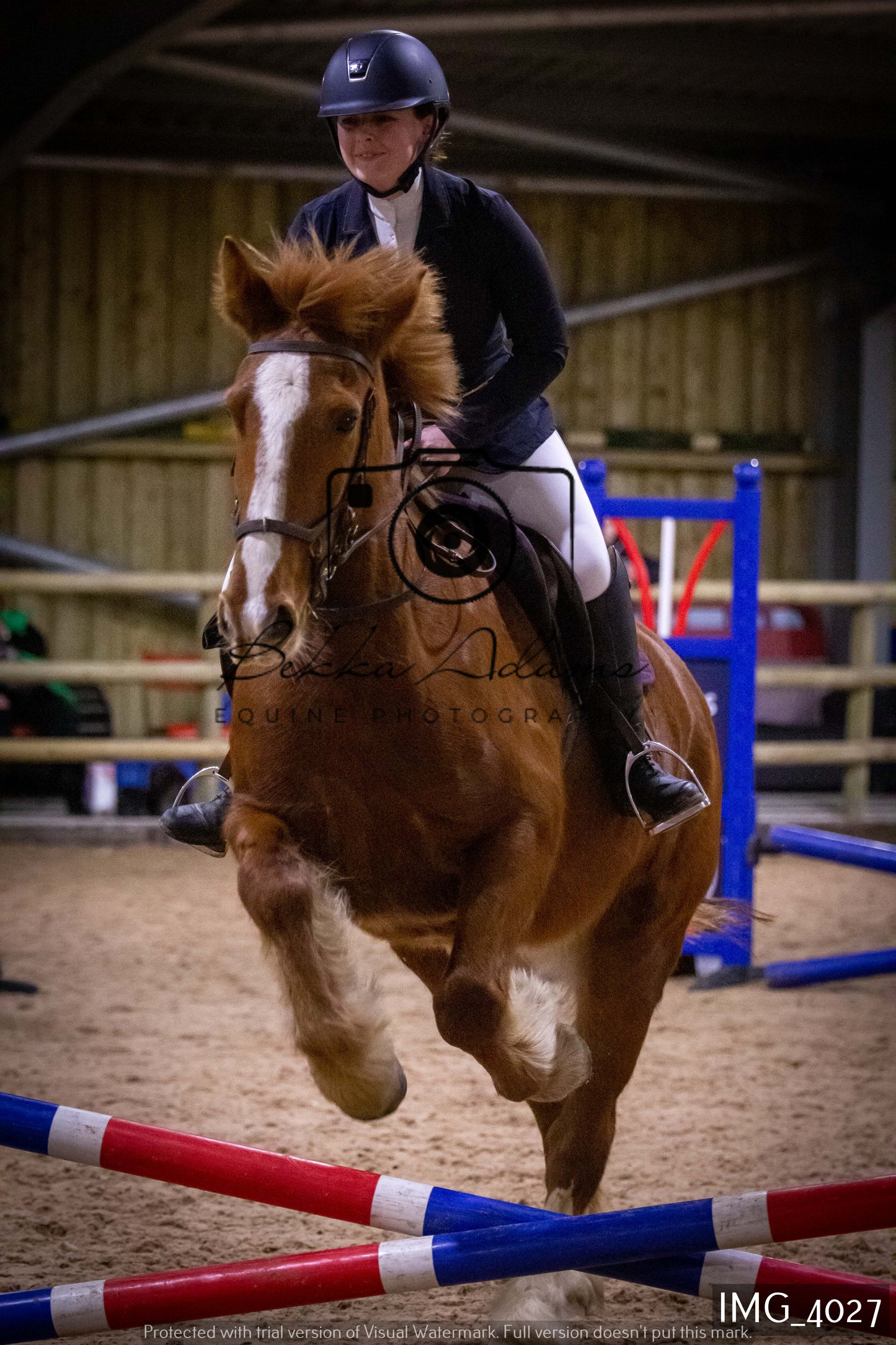 Home Farm Jumping 19th February - Seniors