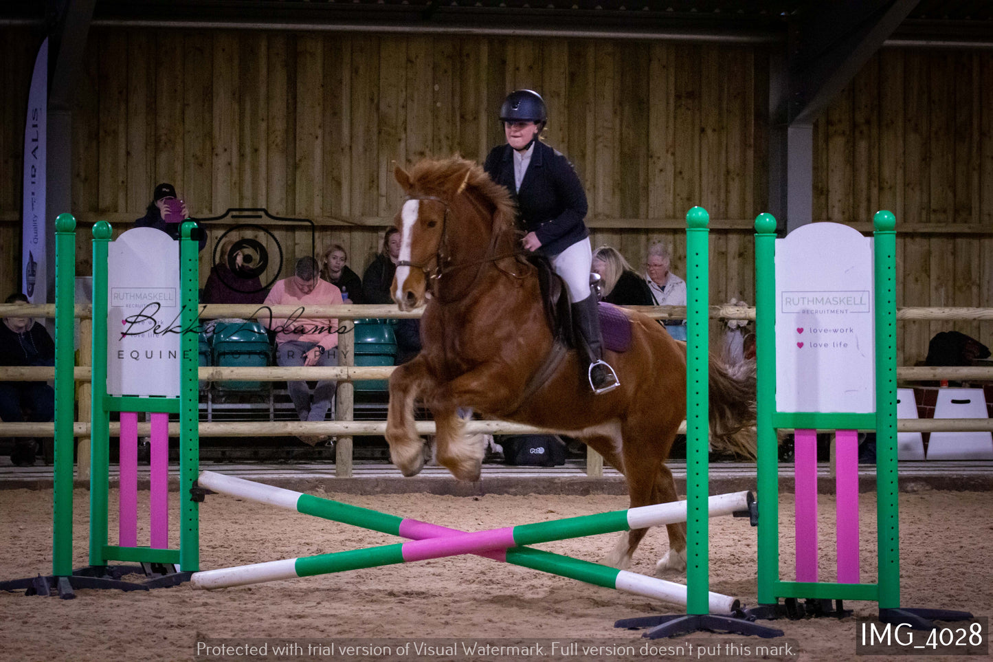 Home Farm Jumping 19th February - Seniors