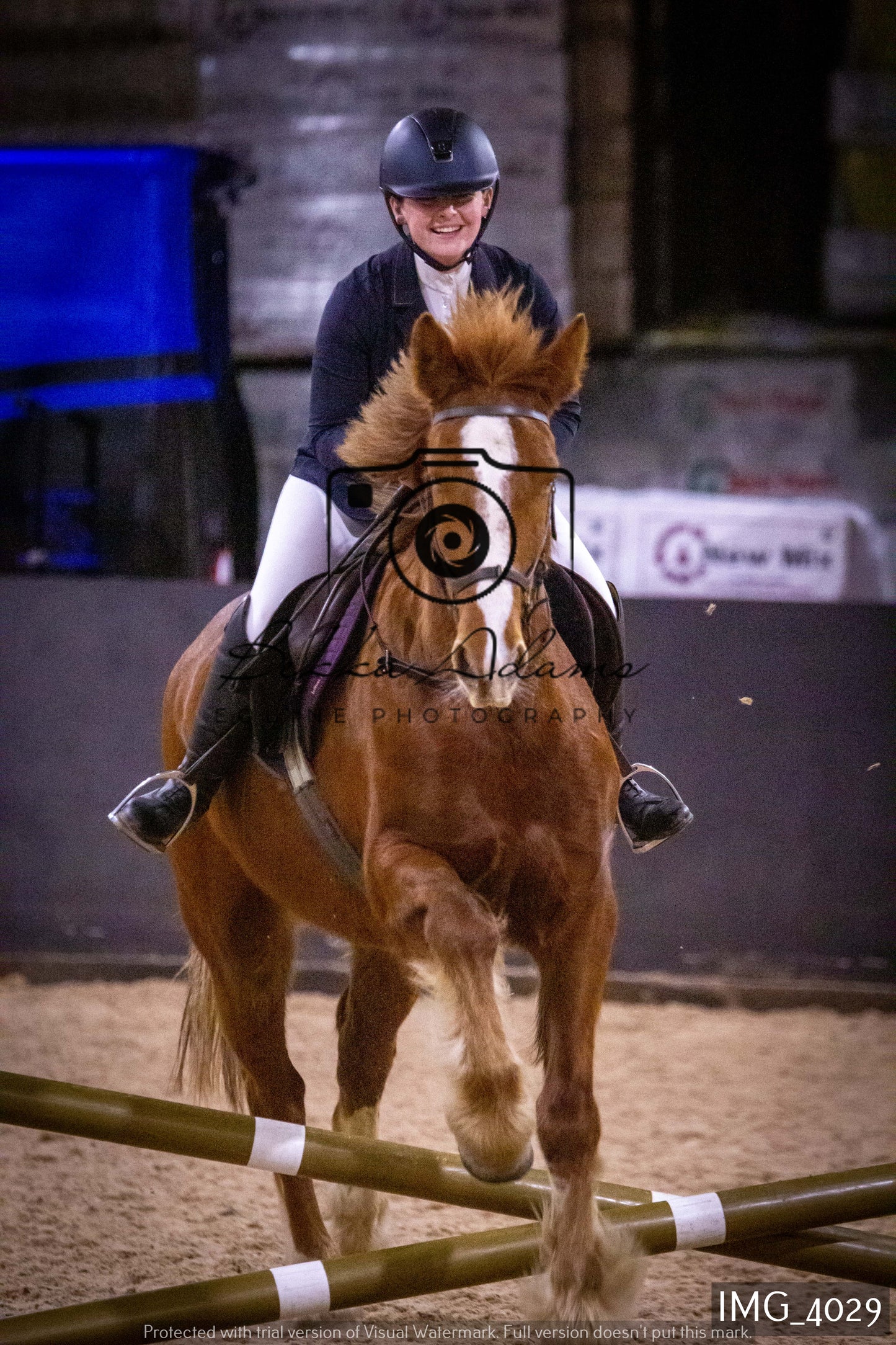 Home Farm Jumping 19th February - Seniors