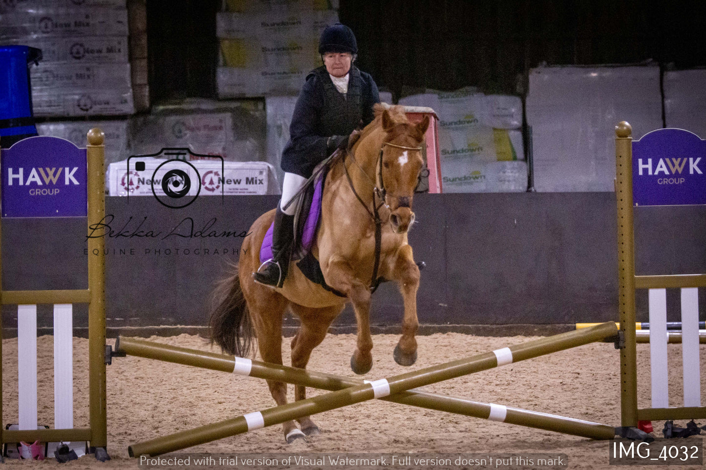 Home Farm Jumping 19th February - Seniors