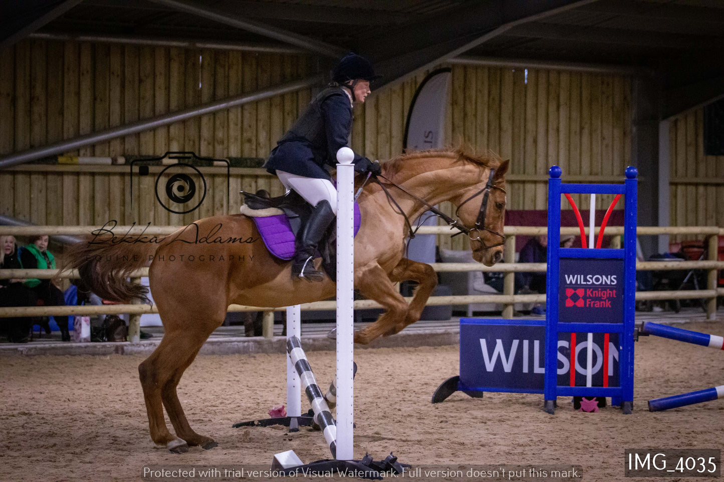 Home Farm Jumping 19th February - Seniors