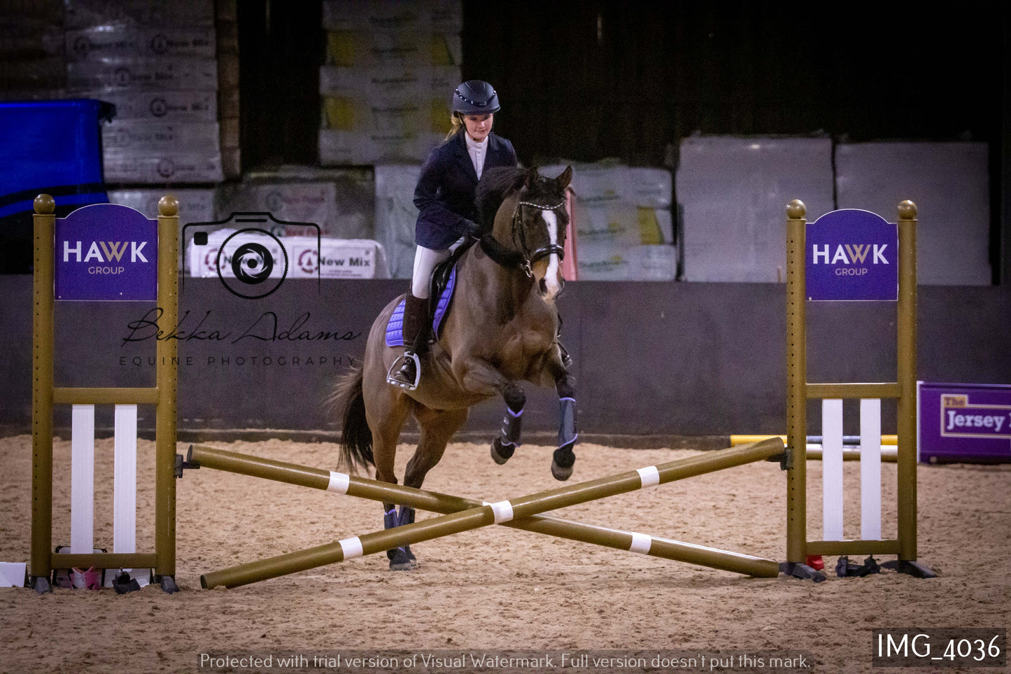 Home Farm Jumping 19th February - Seniors
