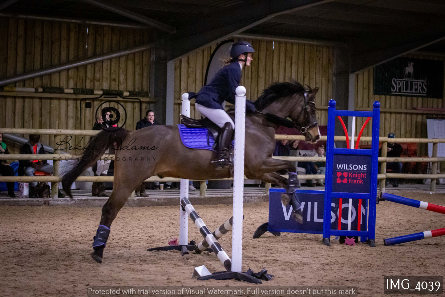 Home Farm Jumping 19th February - Seniors