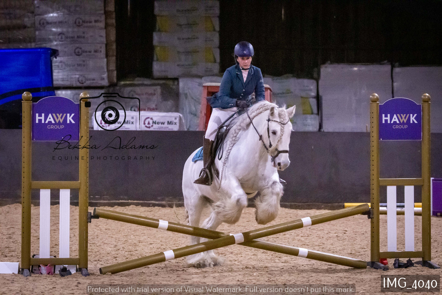 Home Farm Jumping 19th February - Seniors