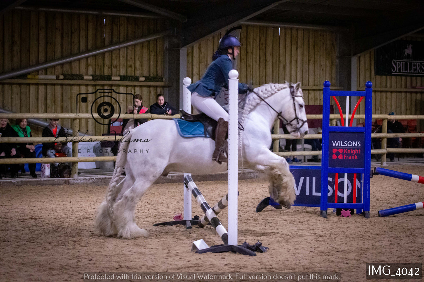 Home Farm Jumping 19th February - Seniors
