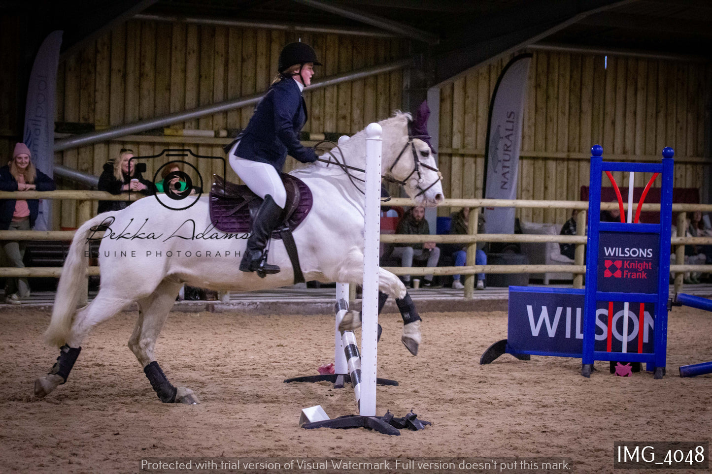 Home Farm Jumping 19th February - Seniors