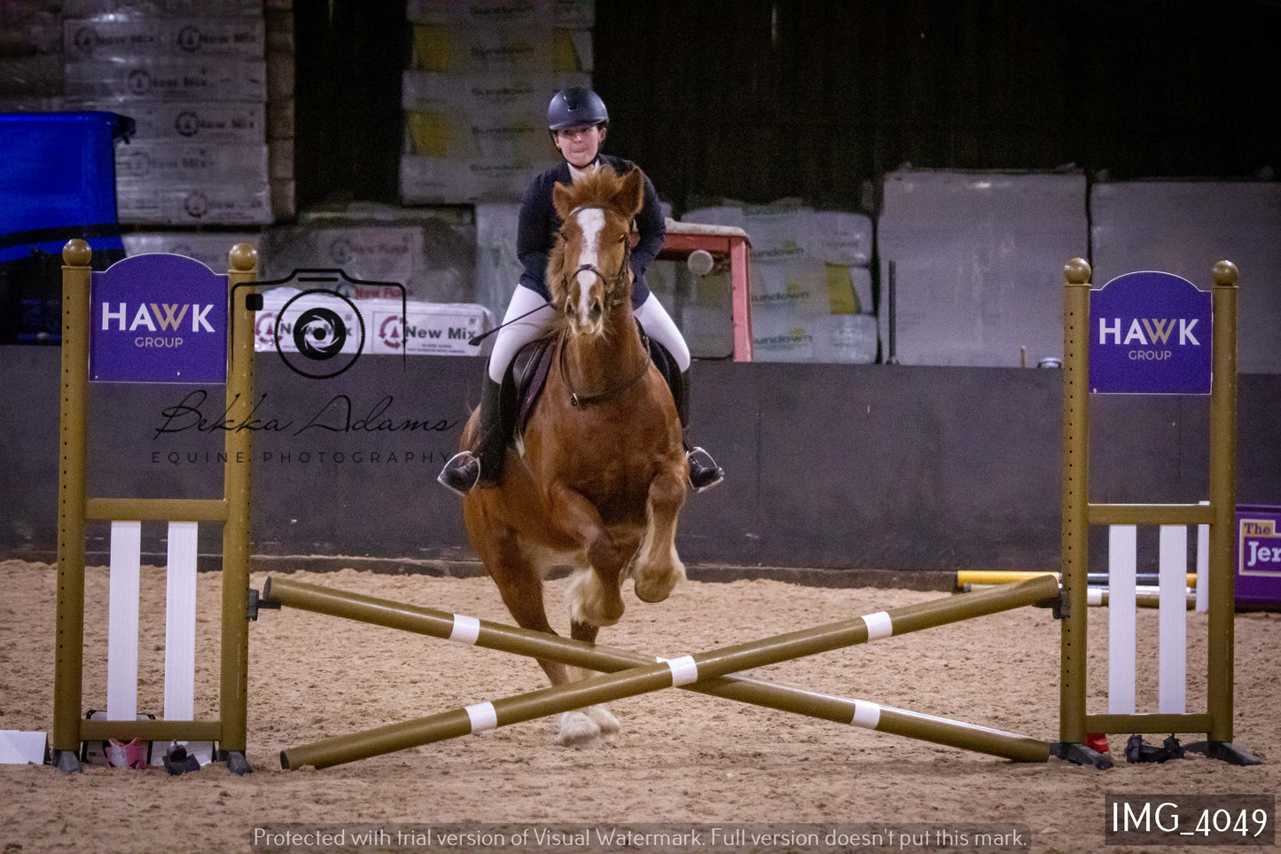Home Farm Jumping 19th February - Seniors