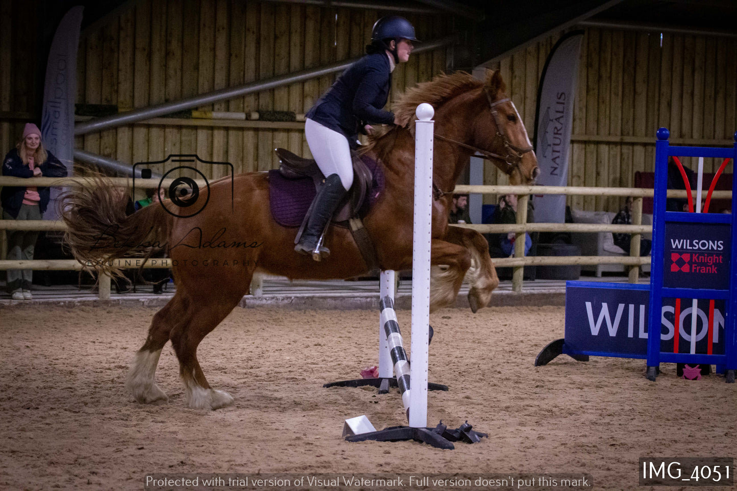 Home Farm Jumping 19th February - Seniors