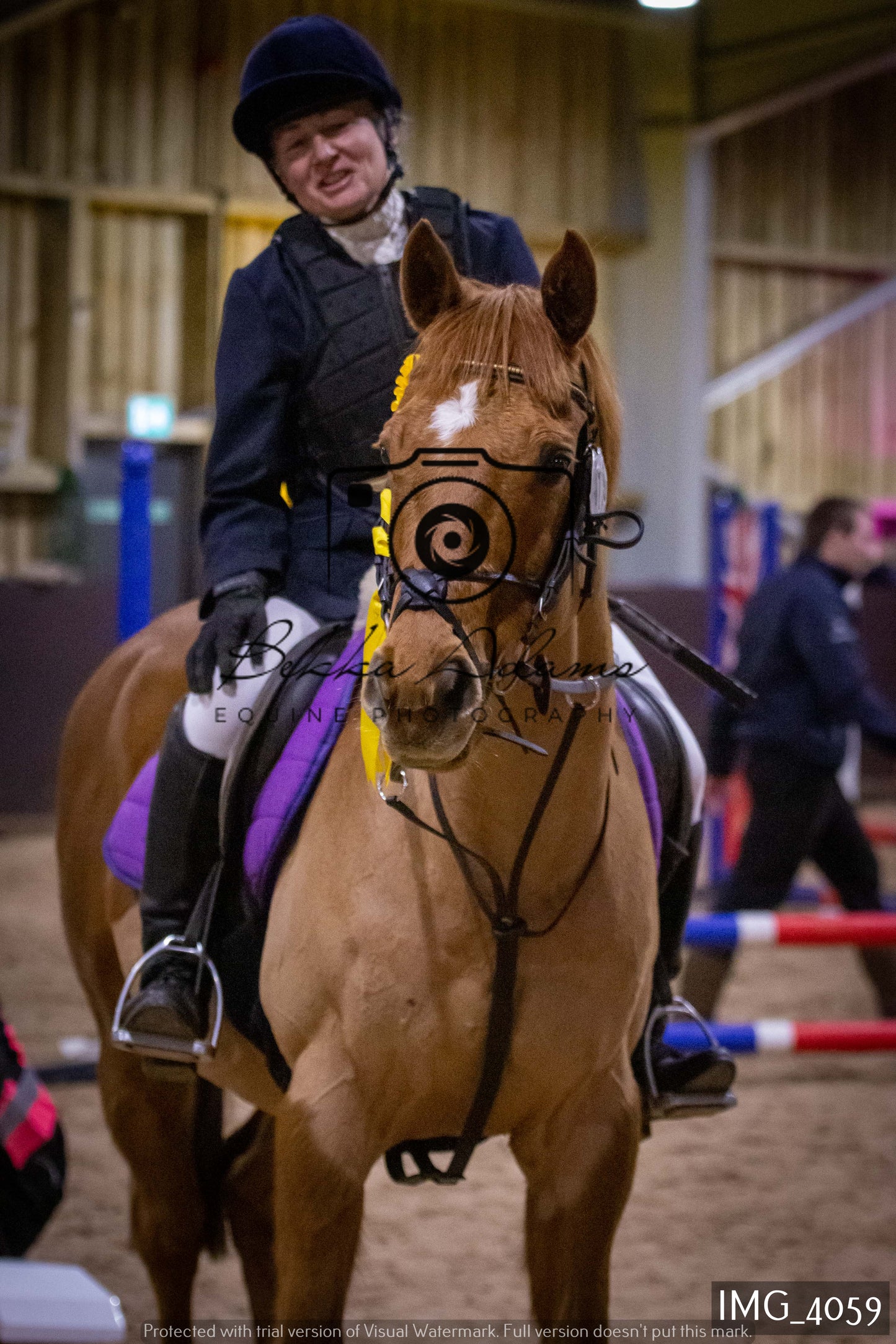 Home Farm Jumping 19th February - Seniors