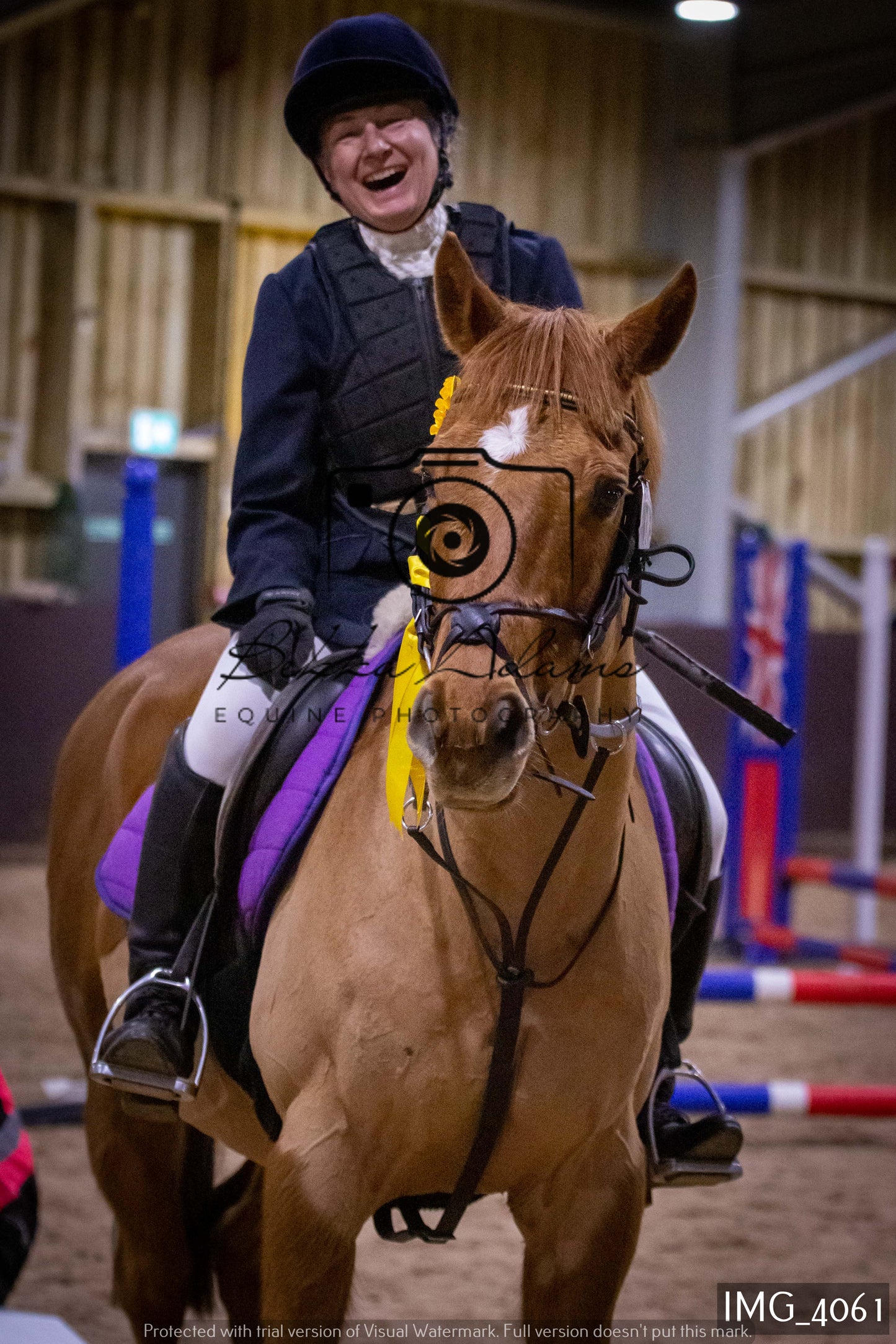 Home Farm Jumping 19th February - Seniors