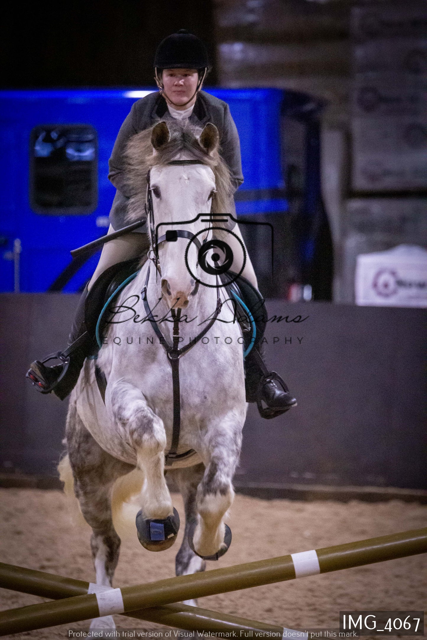 Home Farm Jumping 19th February - Seniors