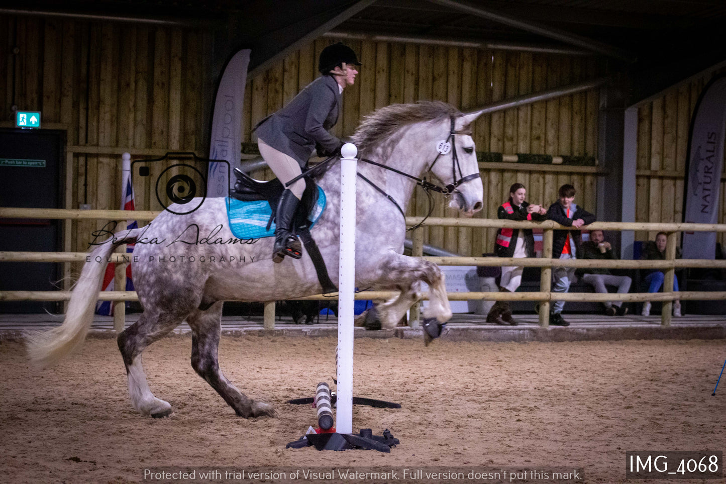 Home Farm Jumping 19th February - Seniors