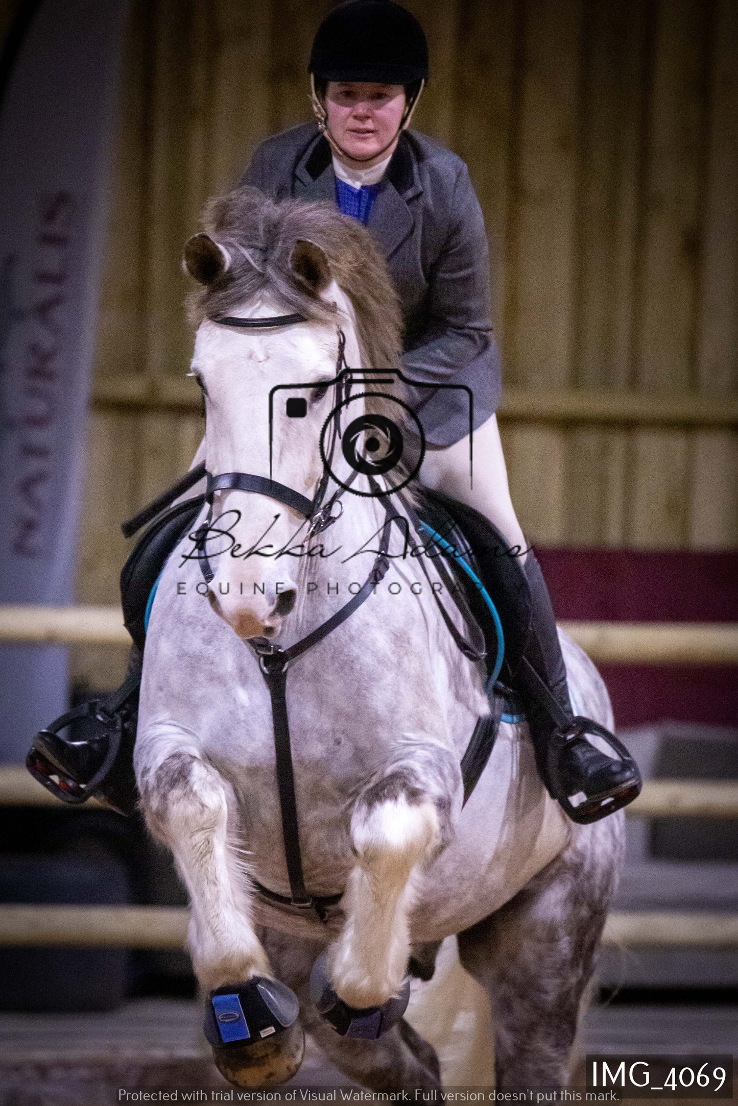 Home Farm Jumping 19th February - Seniors