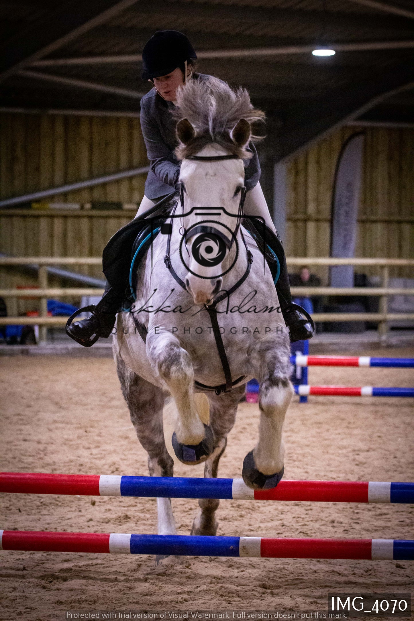 Home Farm Jumping 19th February - Seniors