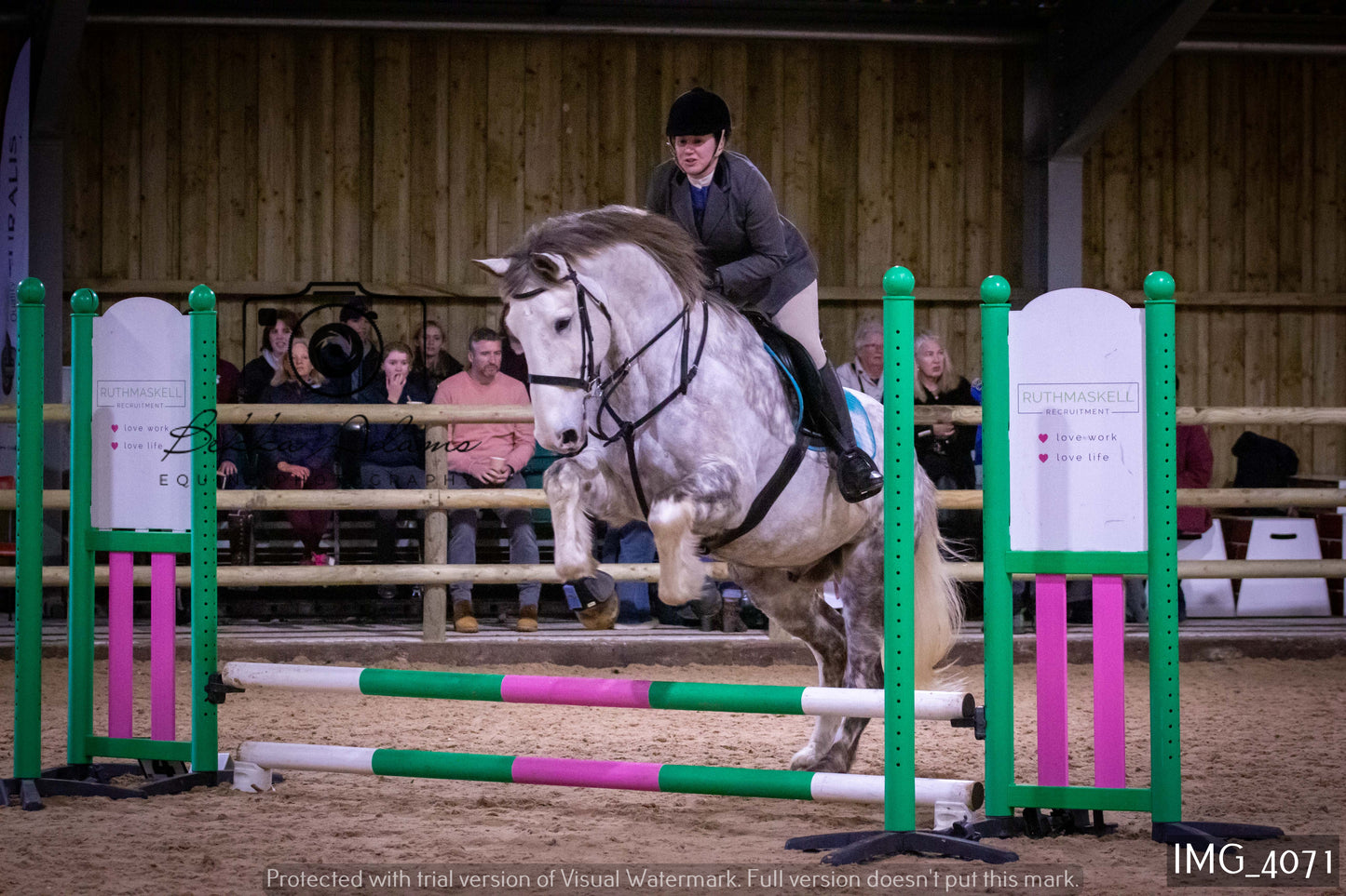 Home Farm Jumping 19th February - Seniors