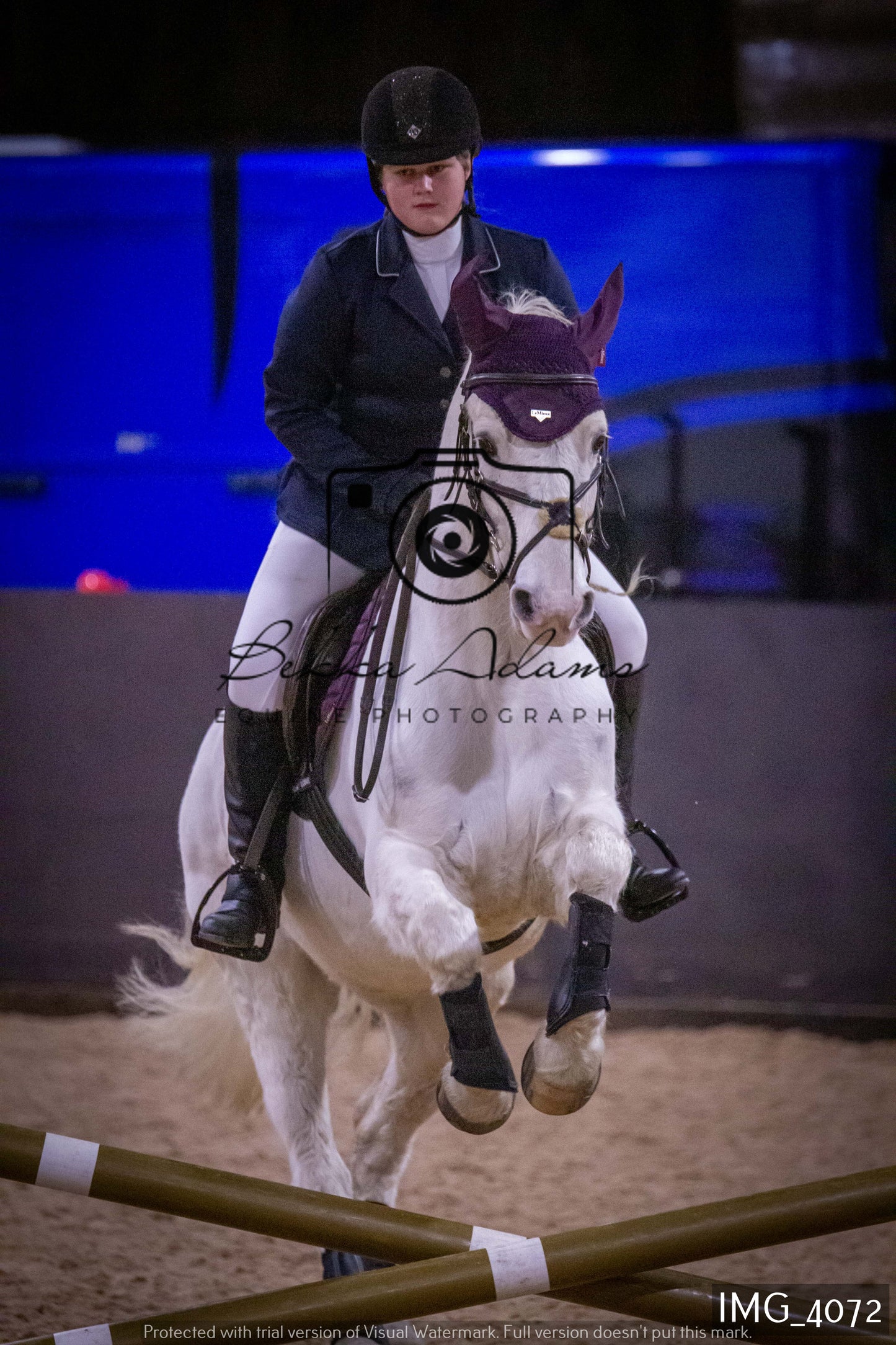 Home Farm Jumping 19th February - Seniors