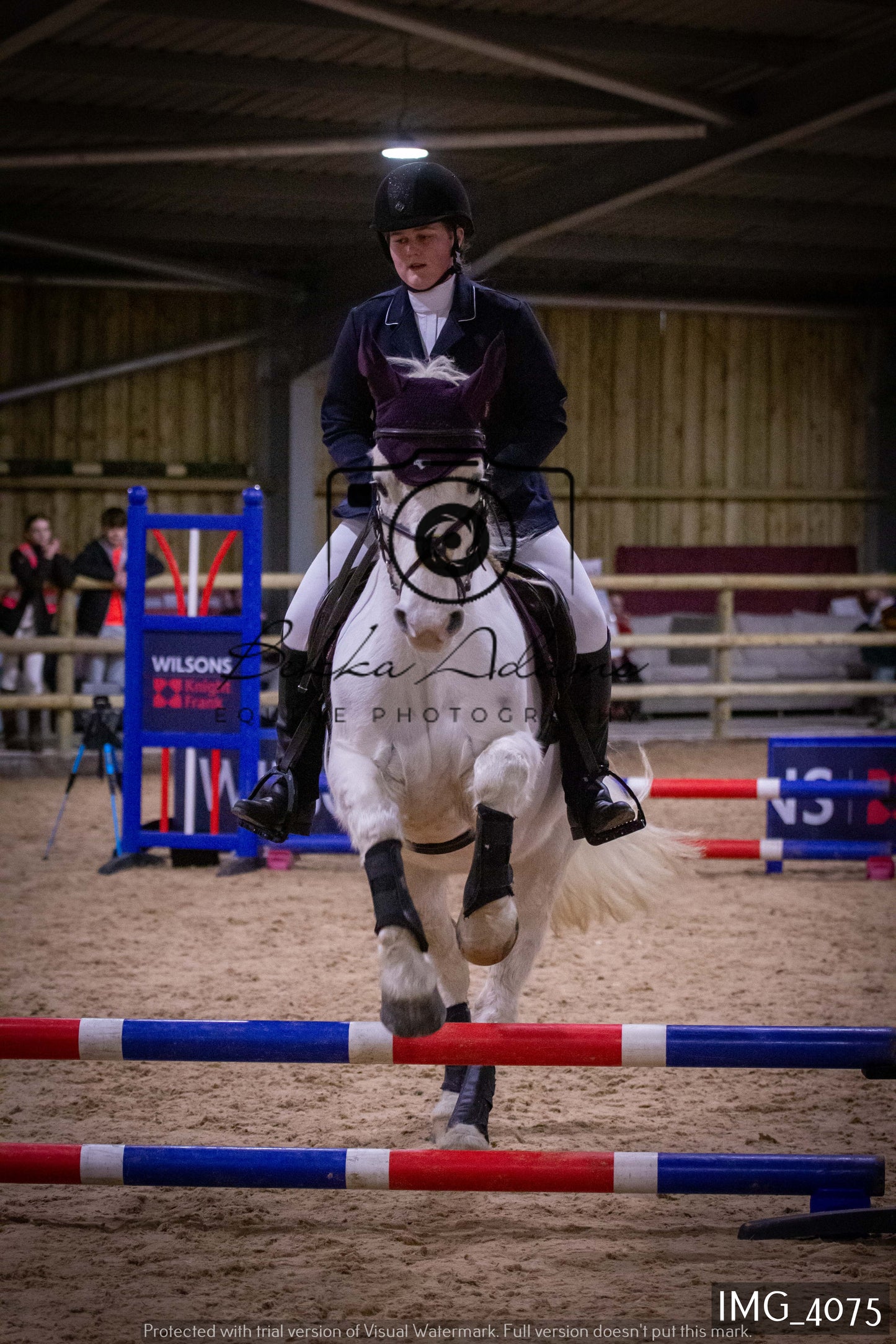 Home Farm Jumping 19th February - Seniors