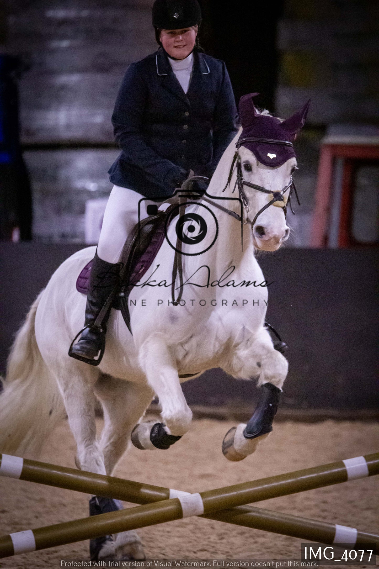 Home Farm Jumping 19th February - Seniors