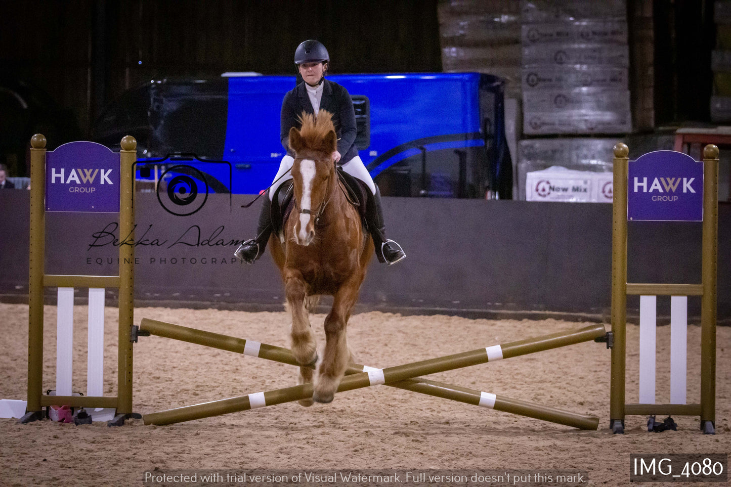 Home Farm Jumping 19th February - Seniors
