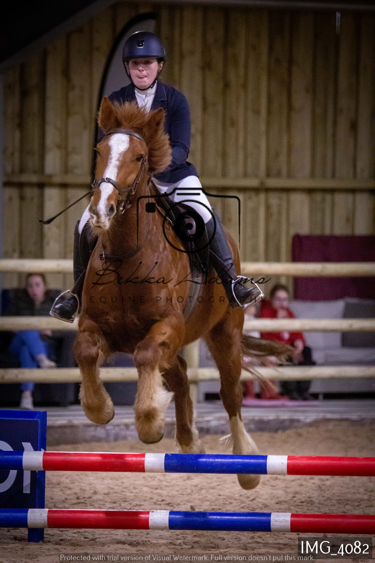 Home Farm Jumping 19th February - Seniors