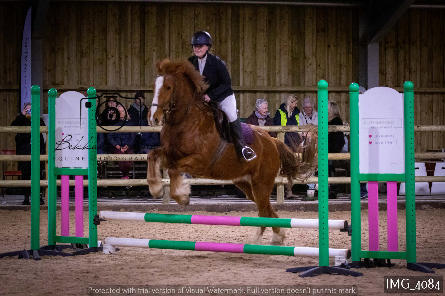 Home Farm Jumping 19th February - Seniors