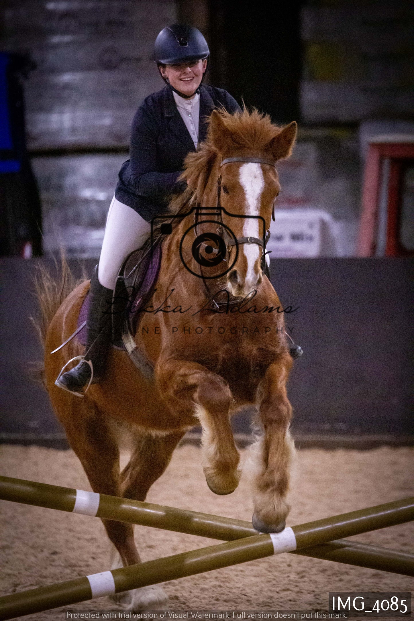 Home Farm Jumping 19th February - Seniors
