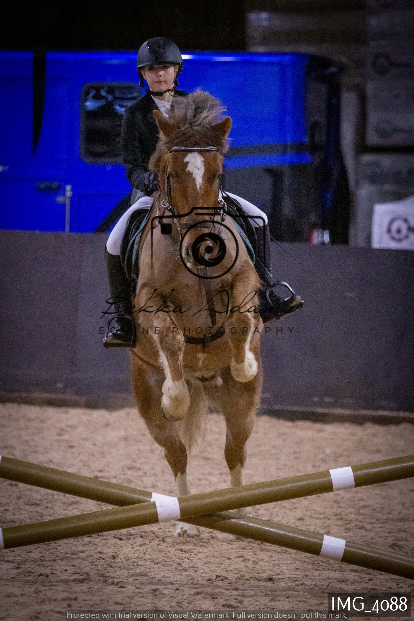 Home Farm Jumping 19th February - Seniors