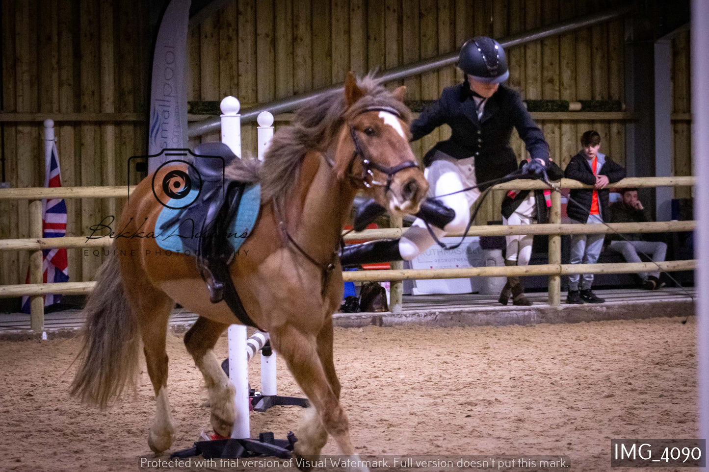Home Farm Jumping 19th February - Seniors