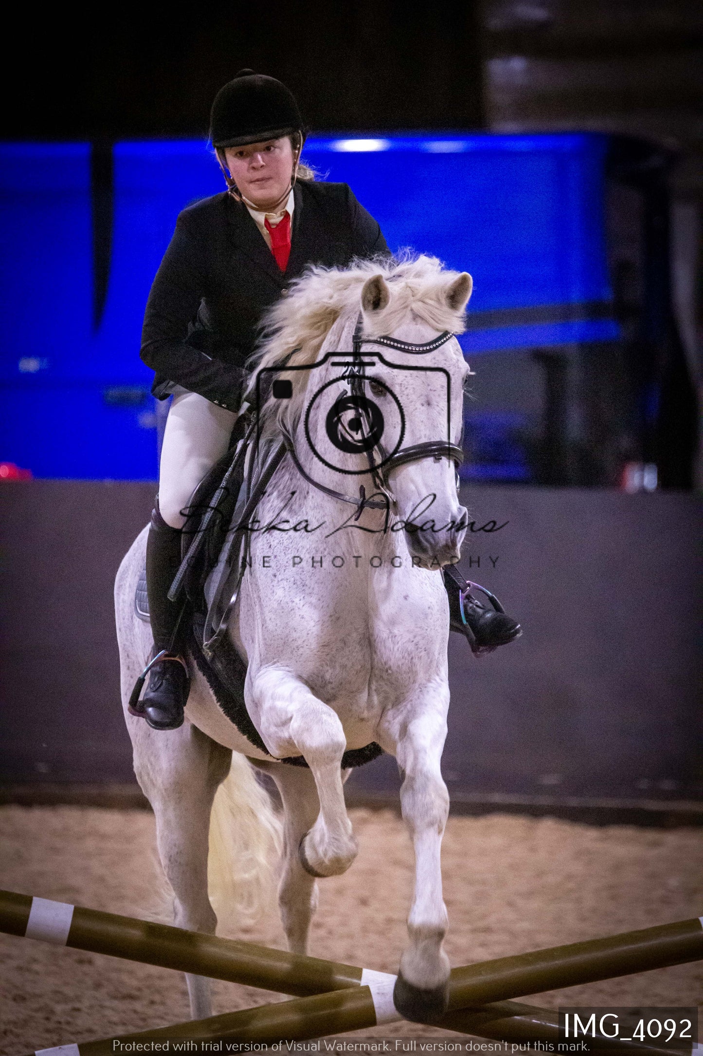 Home Farm Jumping 19th February - Seniors