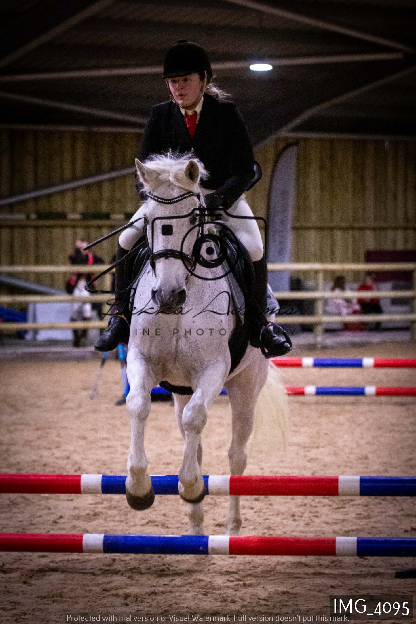 Home Farm Jumping 19th February - Seniors
