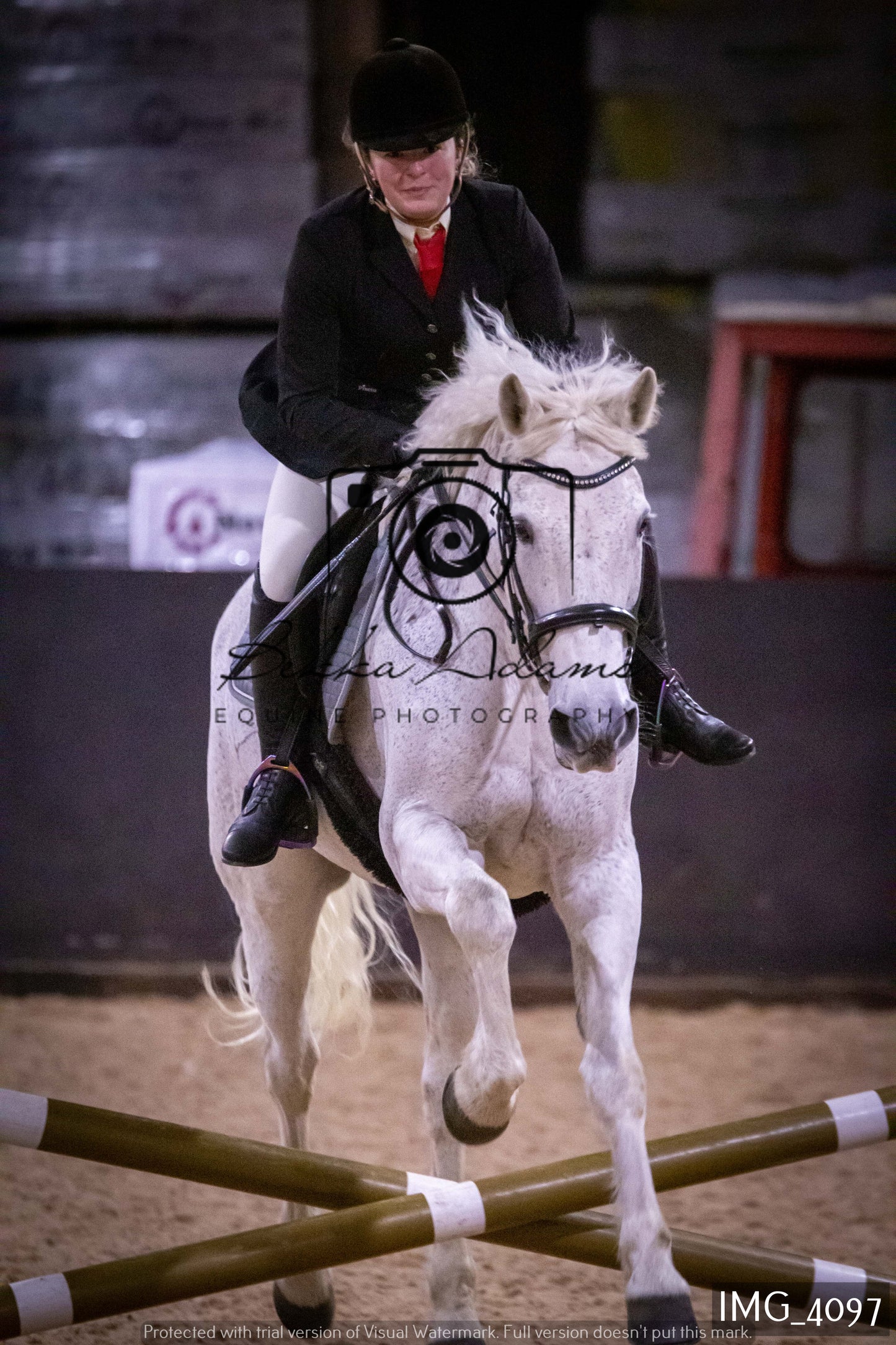 Home Farm Jumping 19th February - Seniors