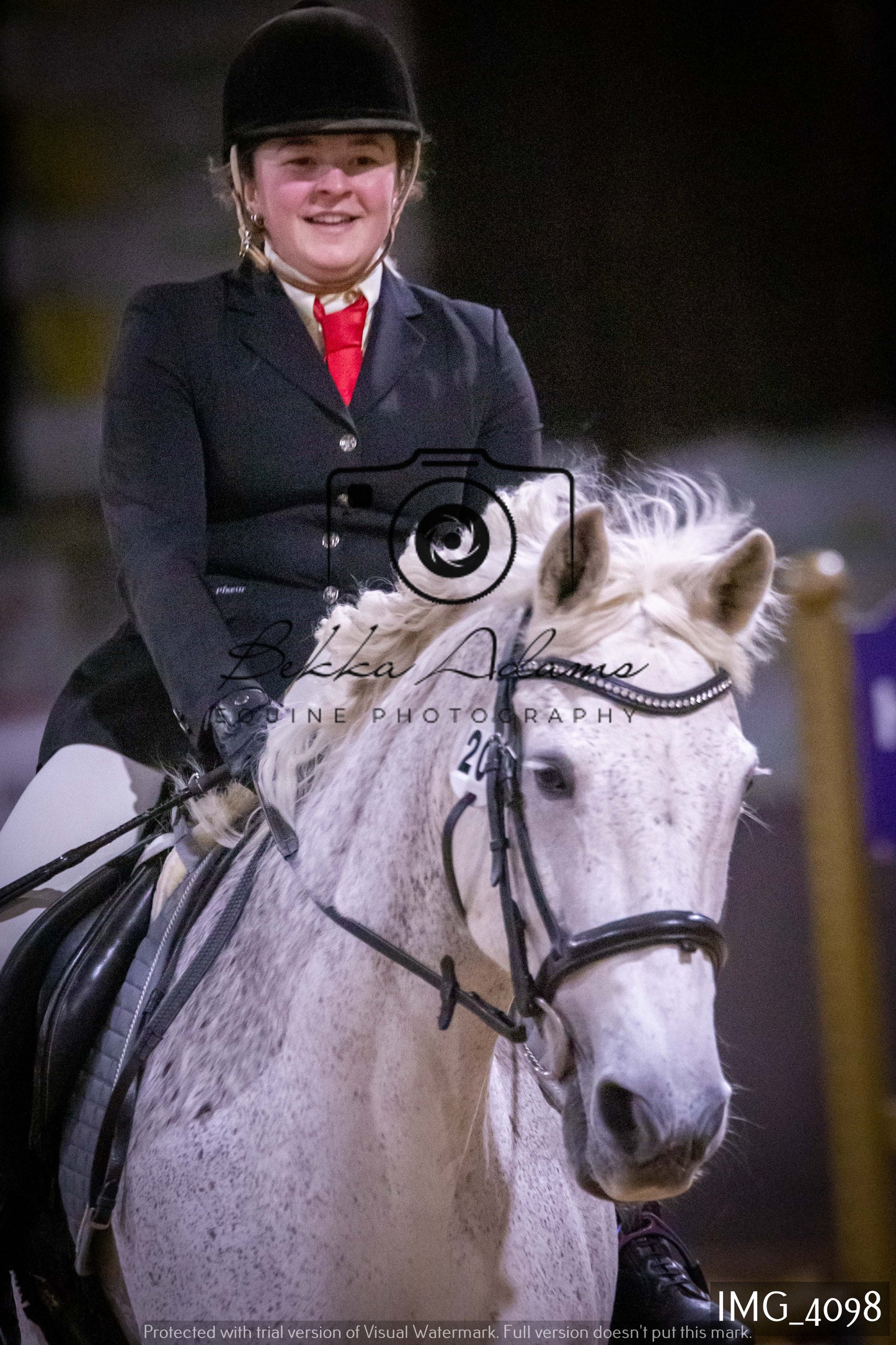 Home Farm Jumping 19th February - Seniors