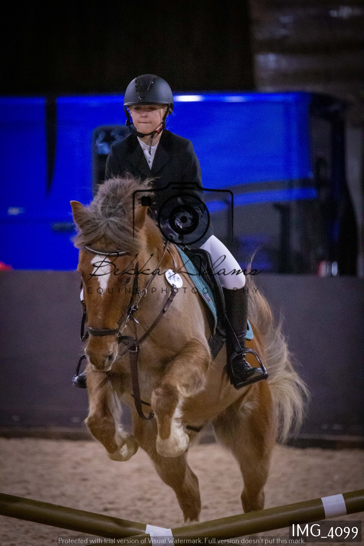 Home Farm Jumping 19th February - Seniors
