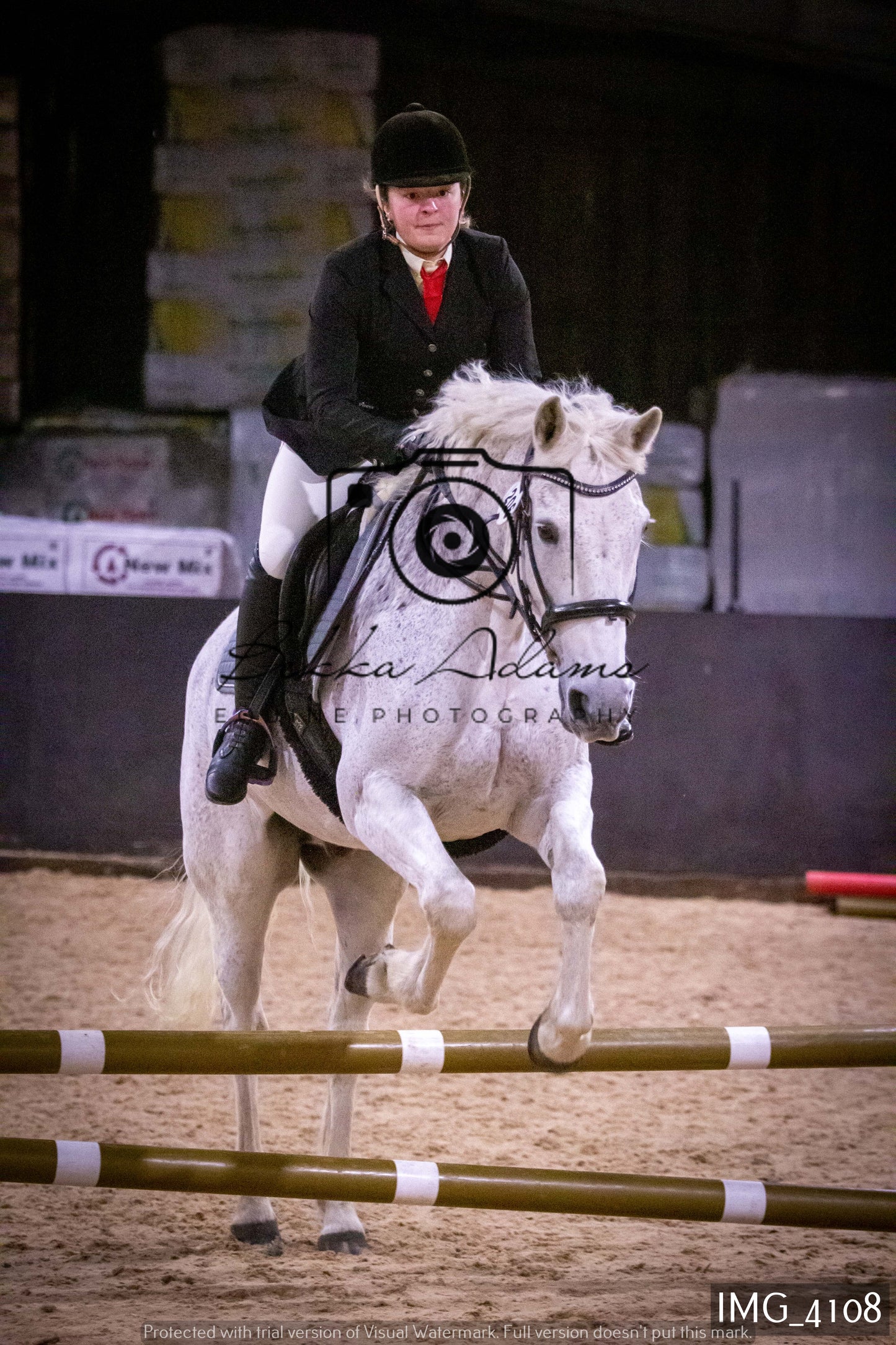 Home Farm Jumping 19th February - Seniors