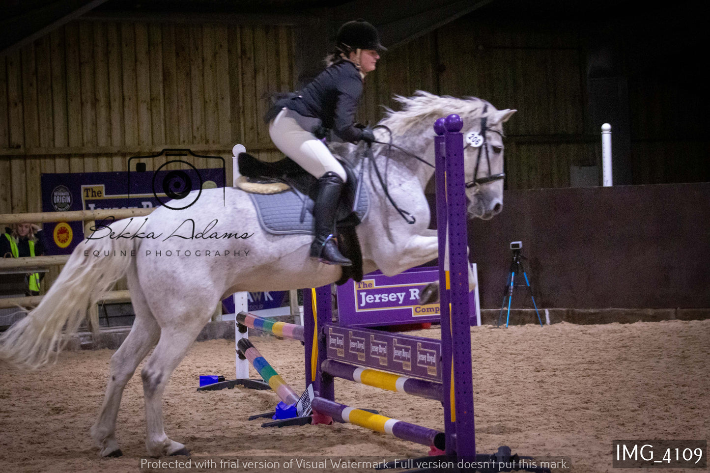 Home Farm Jumping 19th February - Seniors