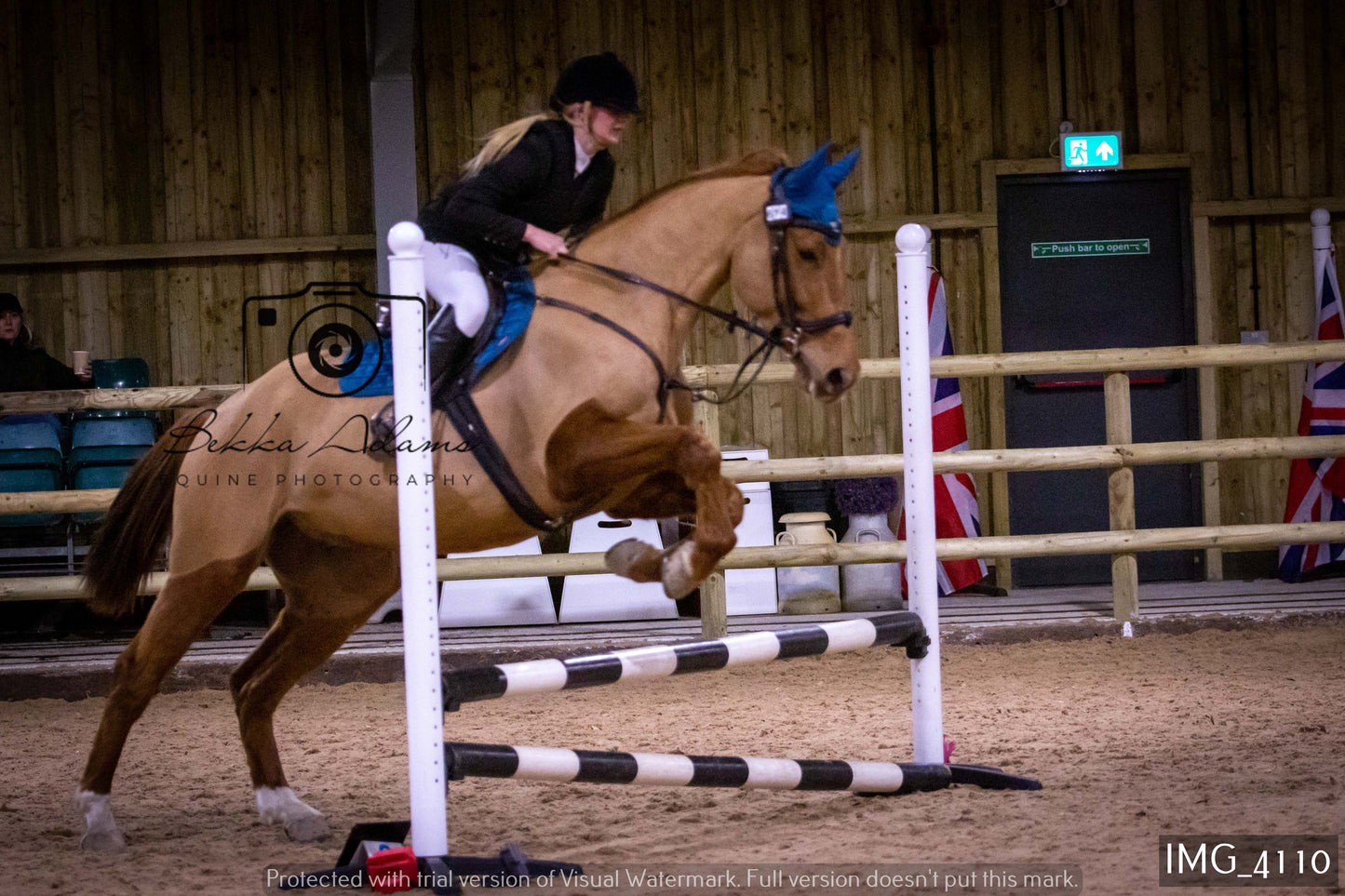 Home Farm Jumping 19th February - Seniors