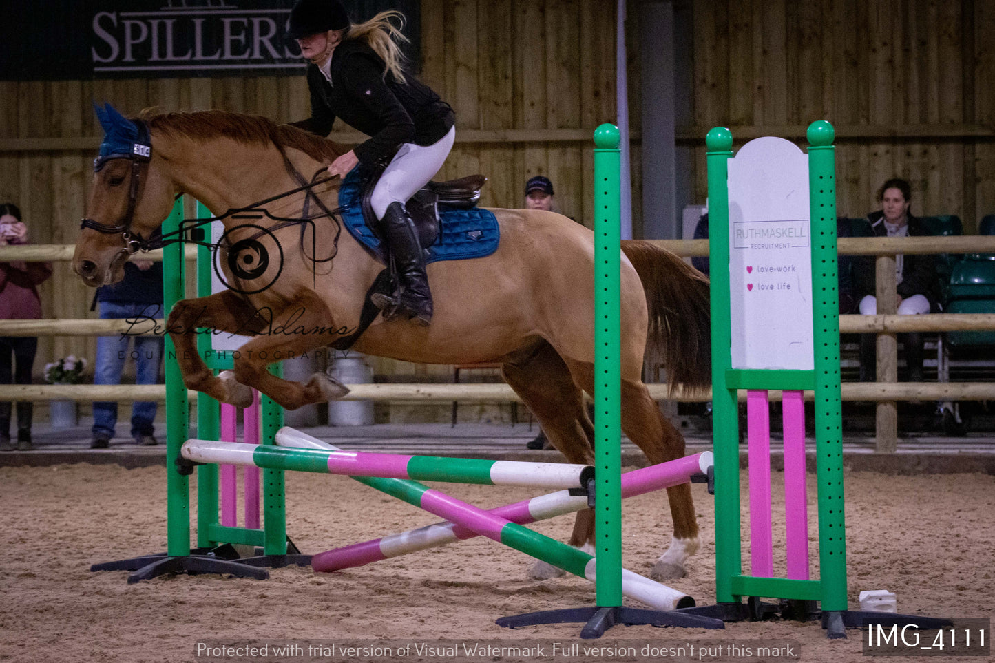 Home Farm Jumping 19th February - Seniors