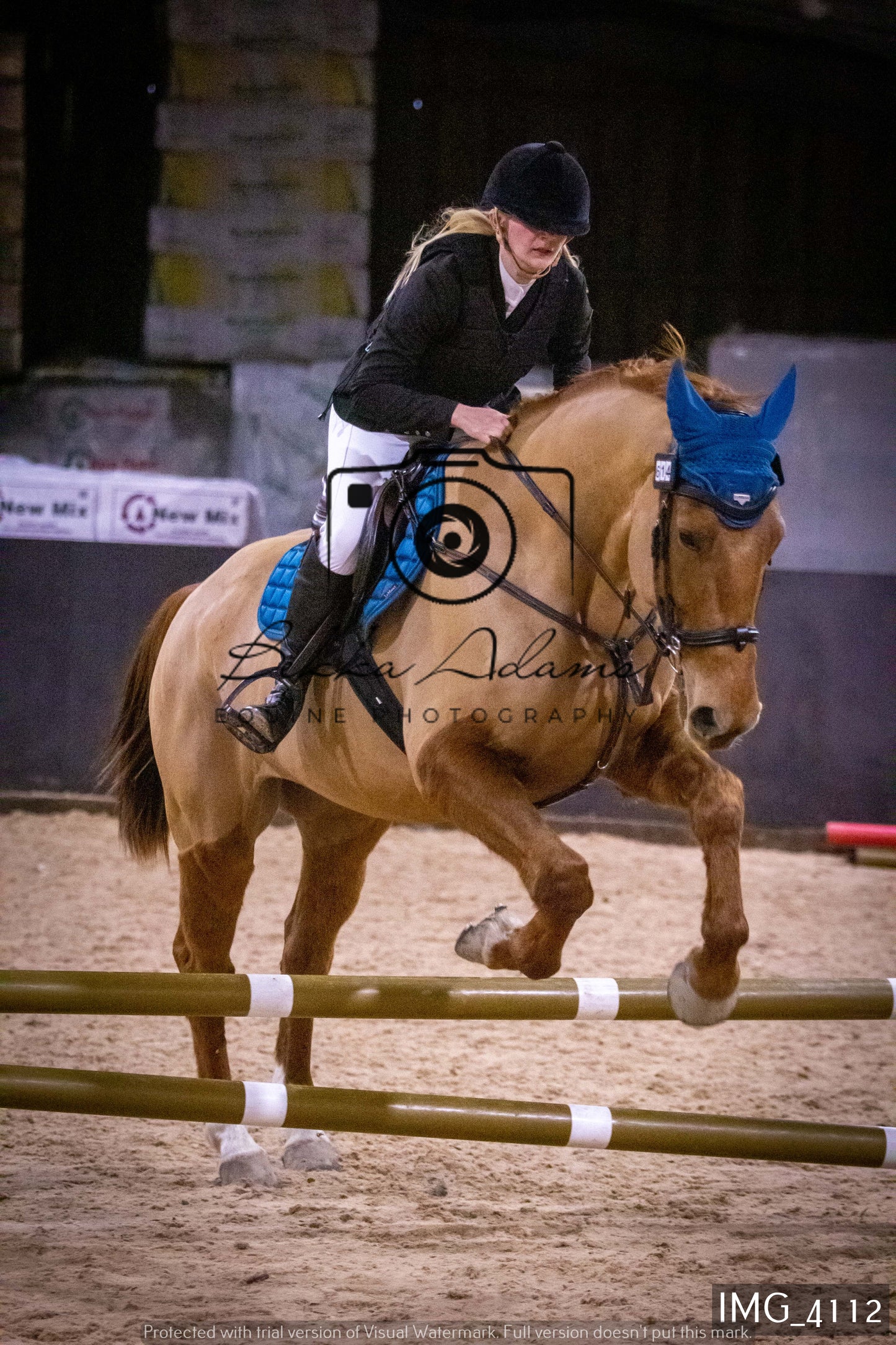 Home Farm Jumping 19th February - Seniors
