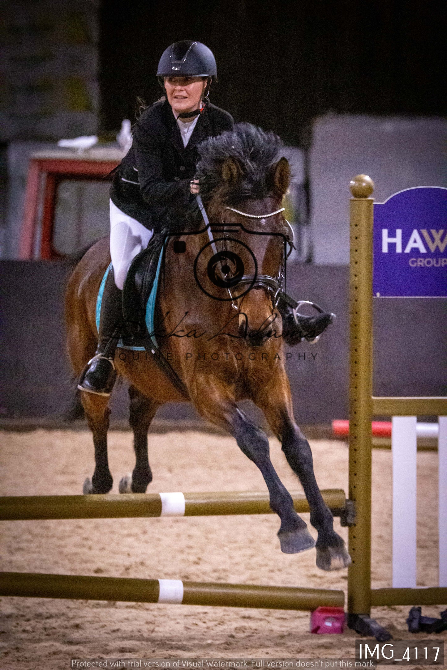 Home Farm Jumping 19th February - Seniors