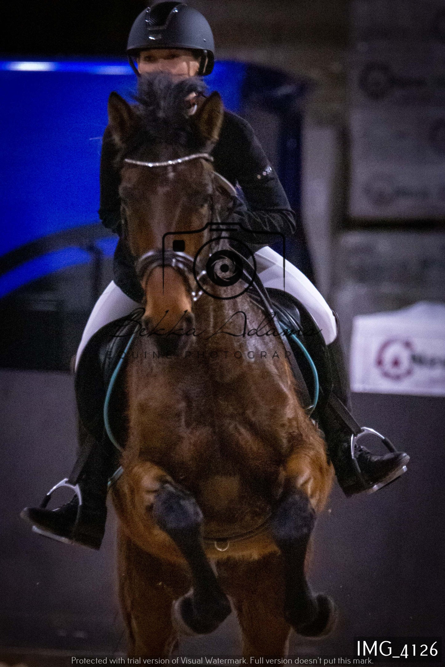 Home Farm Jumping 19th February - Seniors