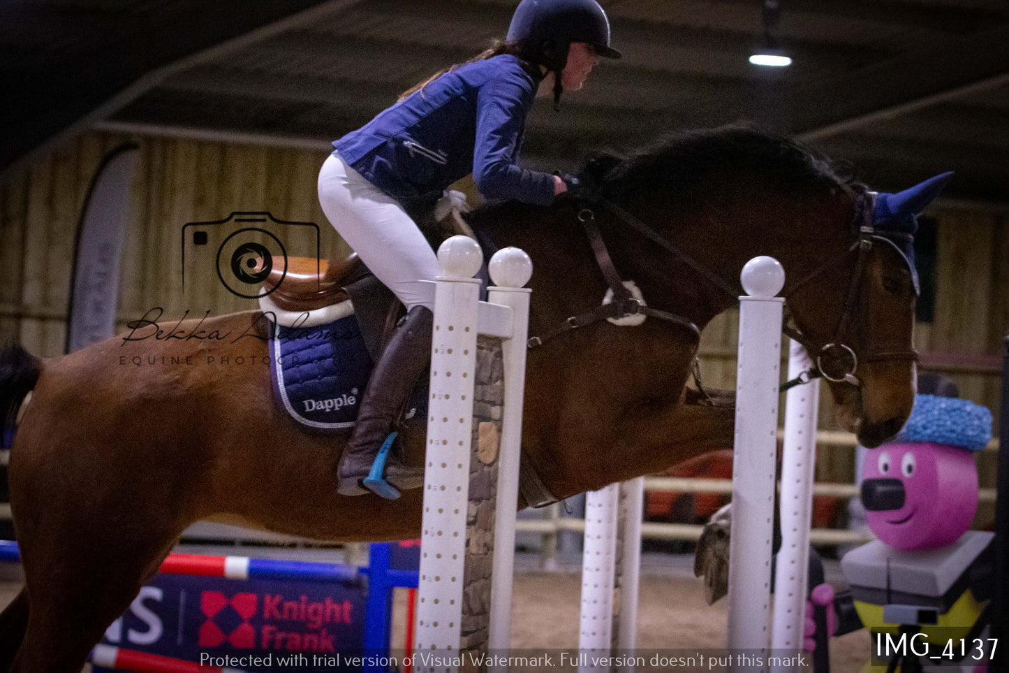 Home Farm Jumping 19th February - Seniors