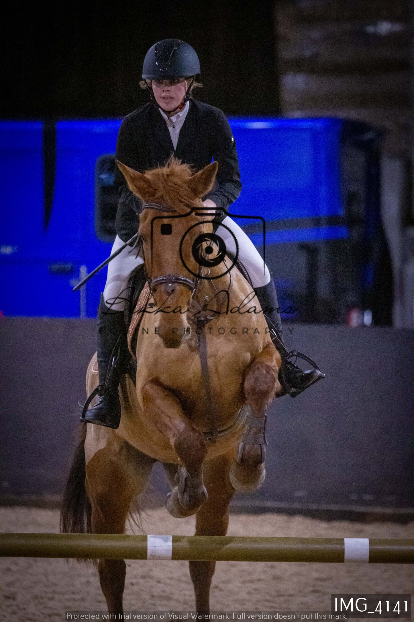 Home Farm Jumping 19th February - Seniors