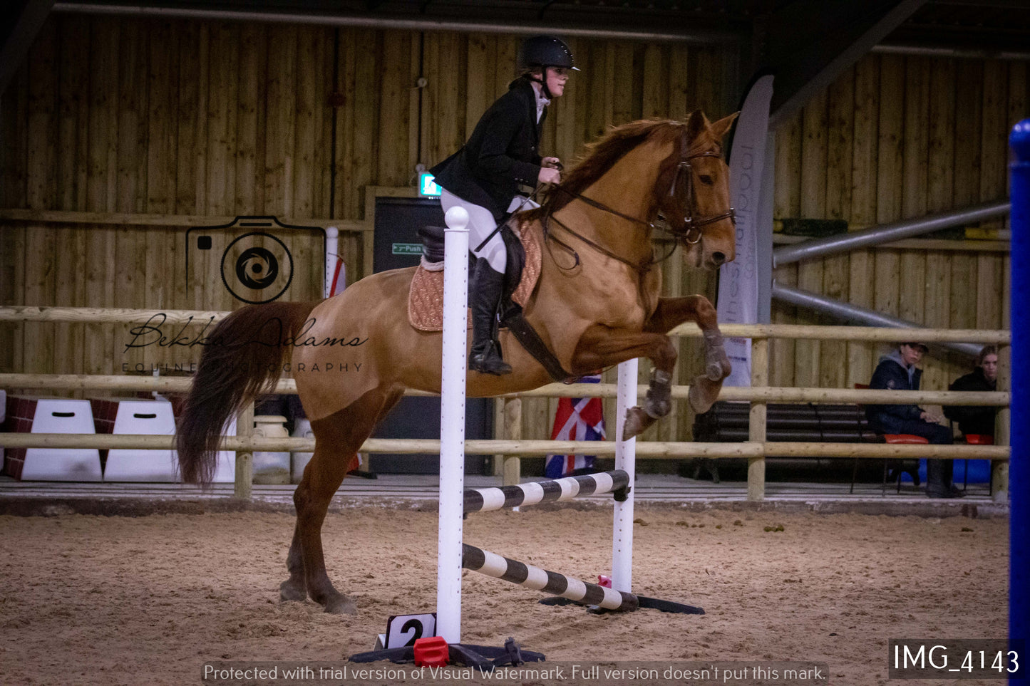 Home Farm Jumping 19th February - Seniors