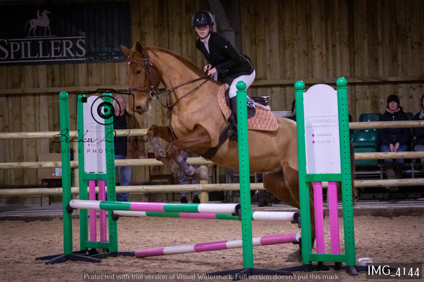 Home Farm Jumping 19th February - Seniors