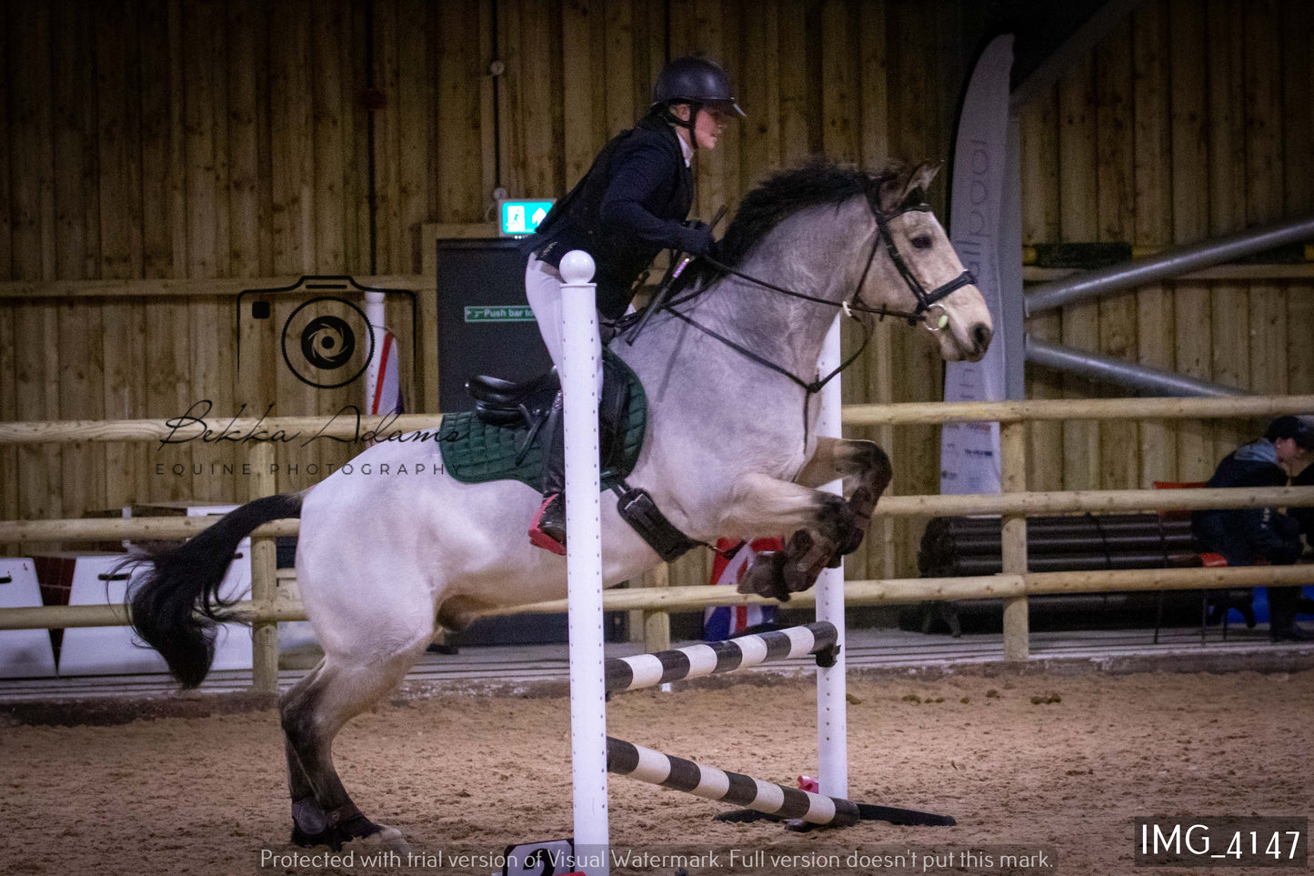 Home Farm Jumping 19th February - Seniors