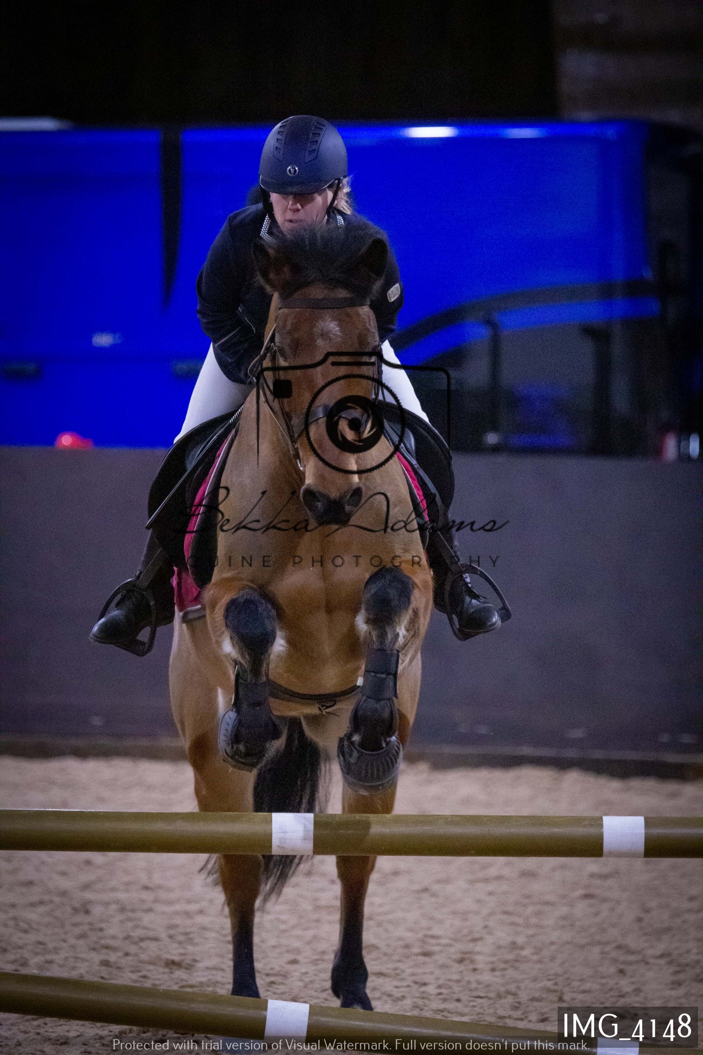 Home Farm Jumping 19th February - Seniors