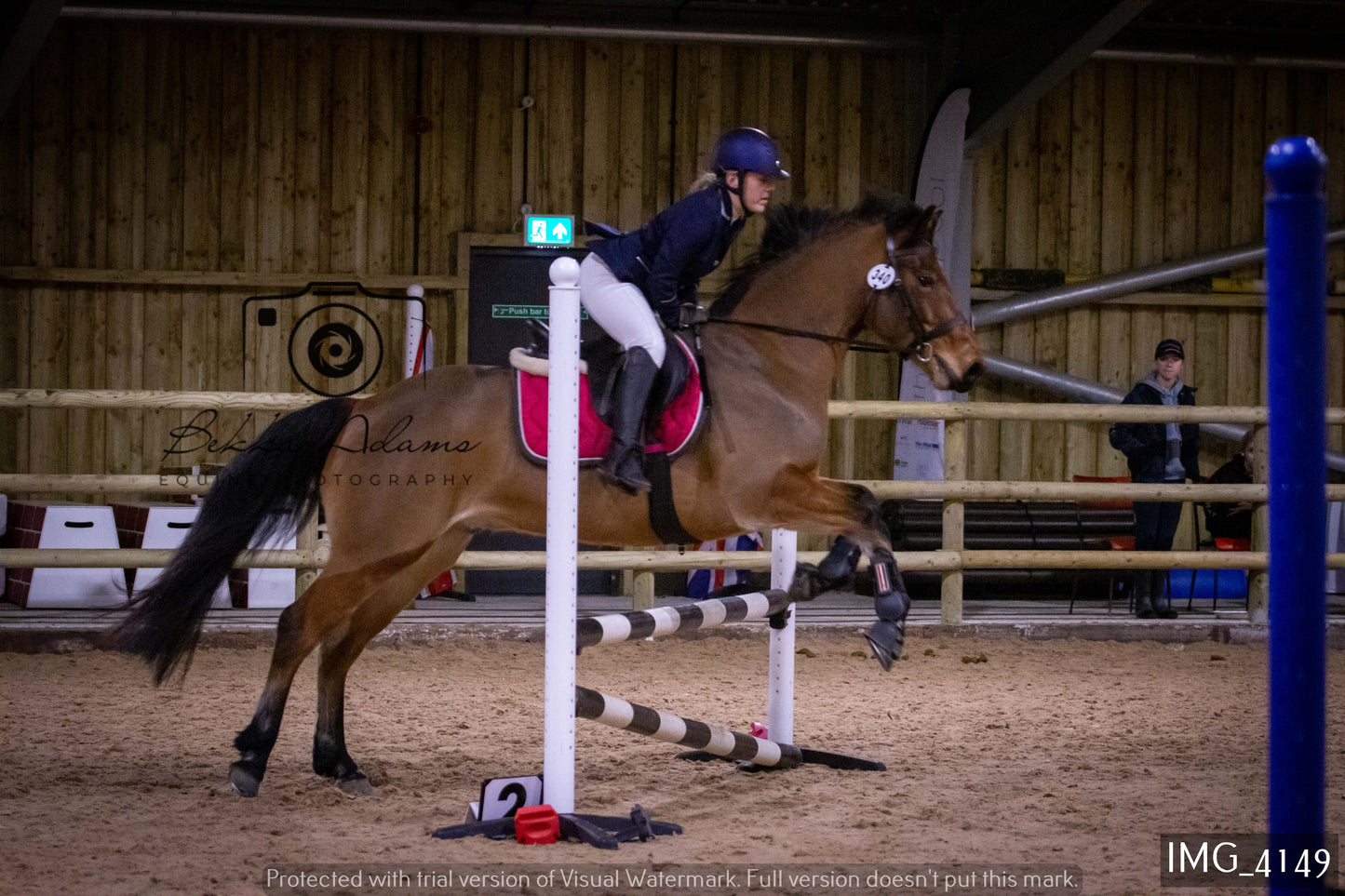 Home Farm Jumping 19th February - Seniors