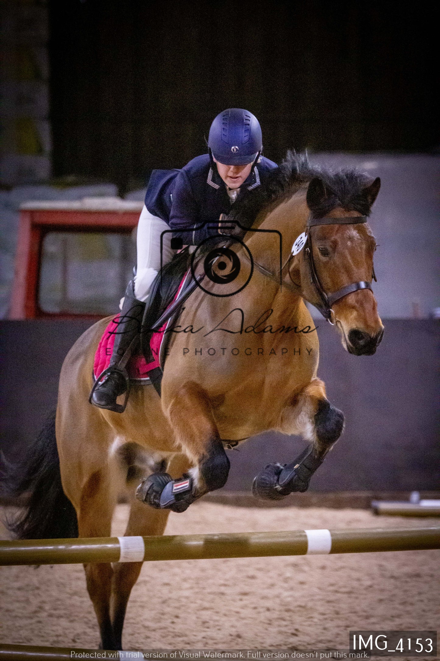 Home Farm Jumping 19th February - Seniors