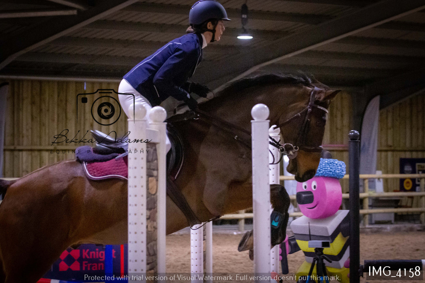 Home Farm Jumping 19th February - Seniors