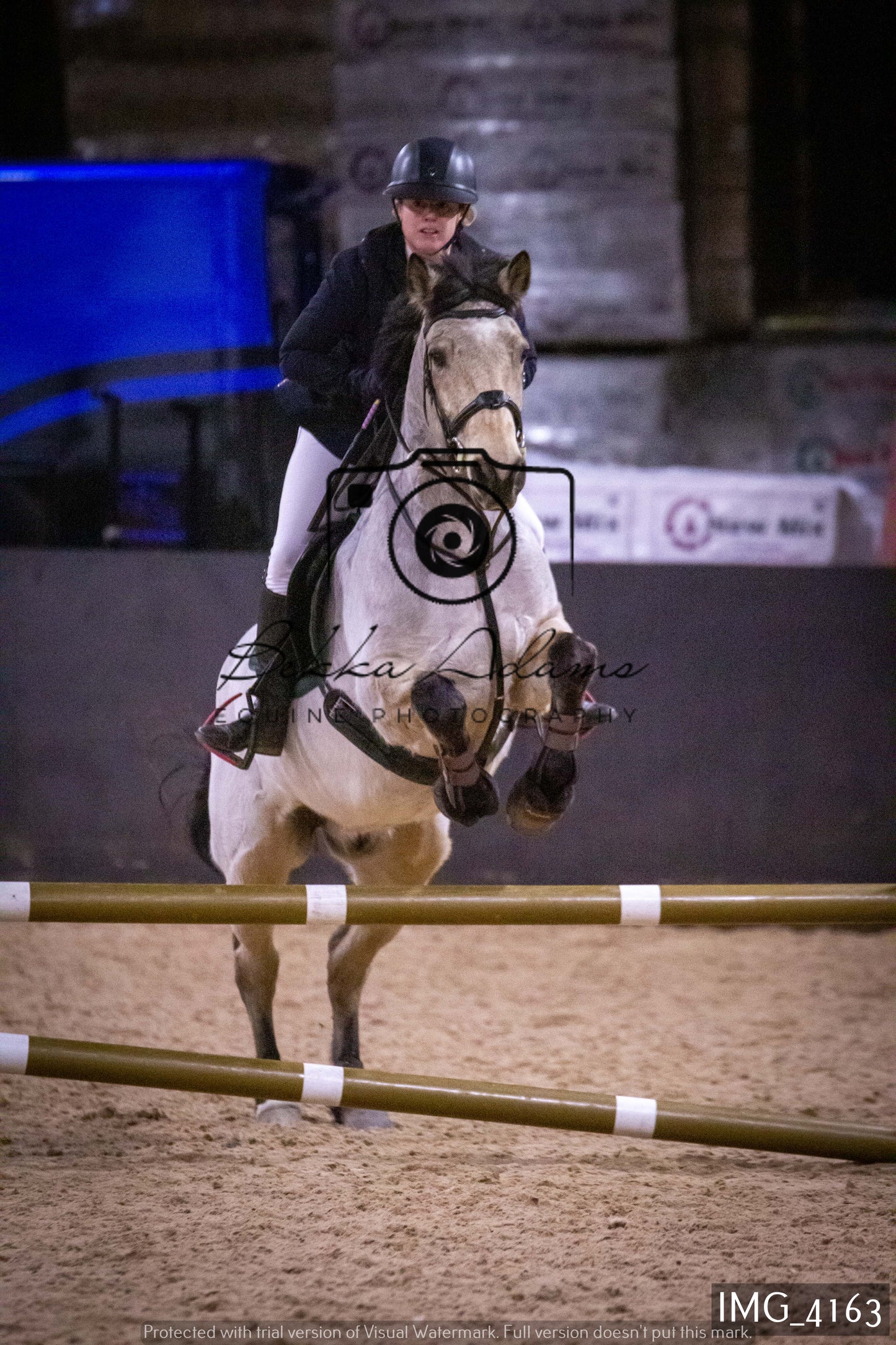 Home Farm Jumping 19th February - Seniors